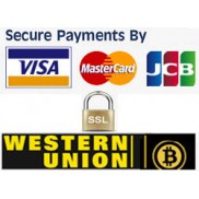 Https SSL payment by visa master card